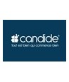 Candide